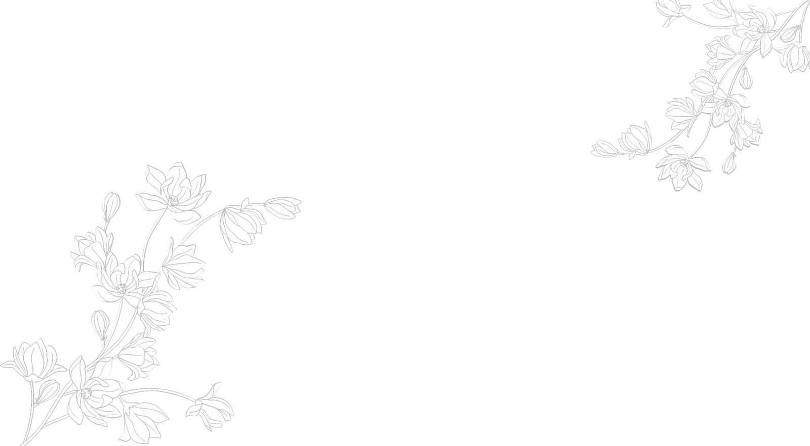 overlay.jpg